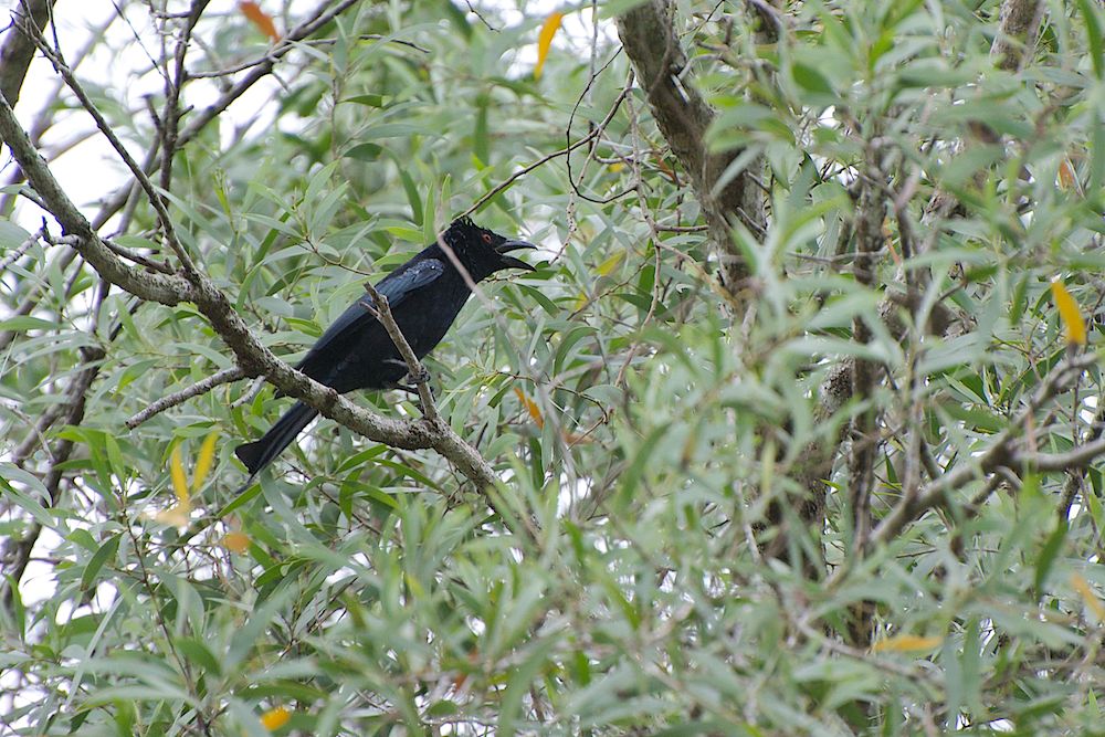DSC_5720.jpg
