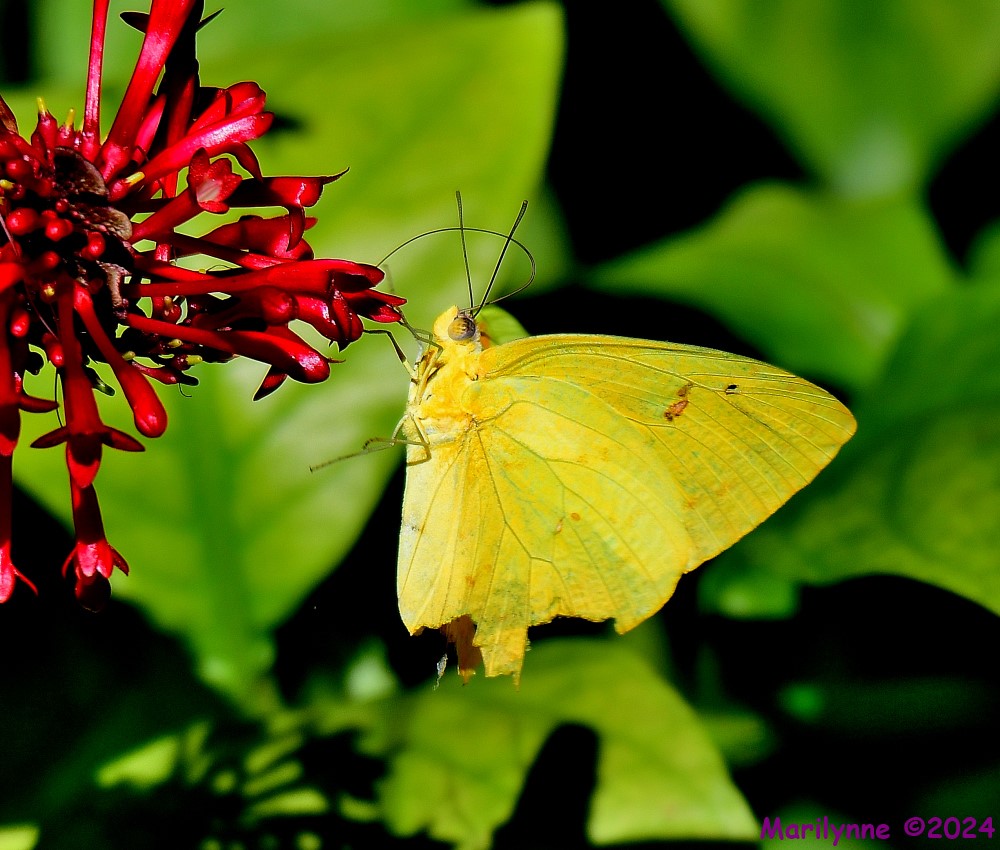 DSC_5720_001.JPG