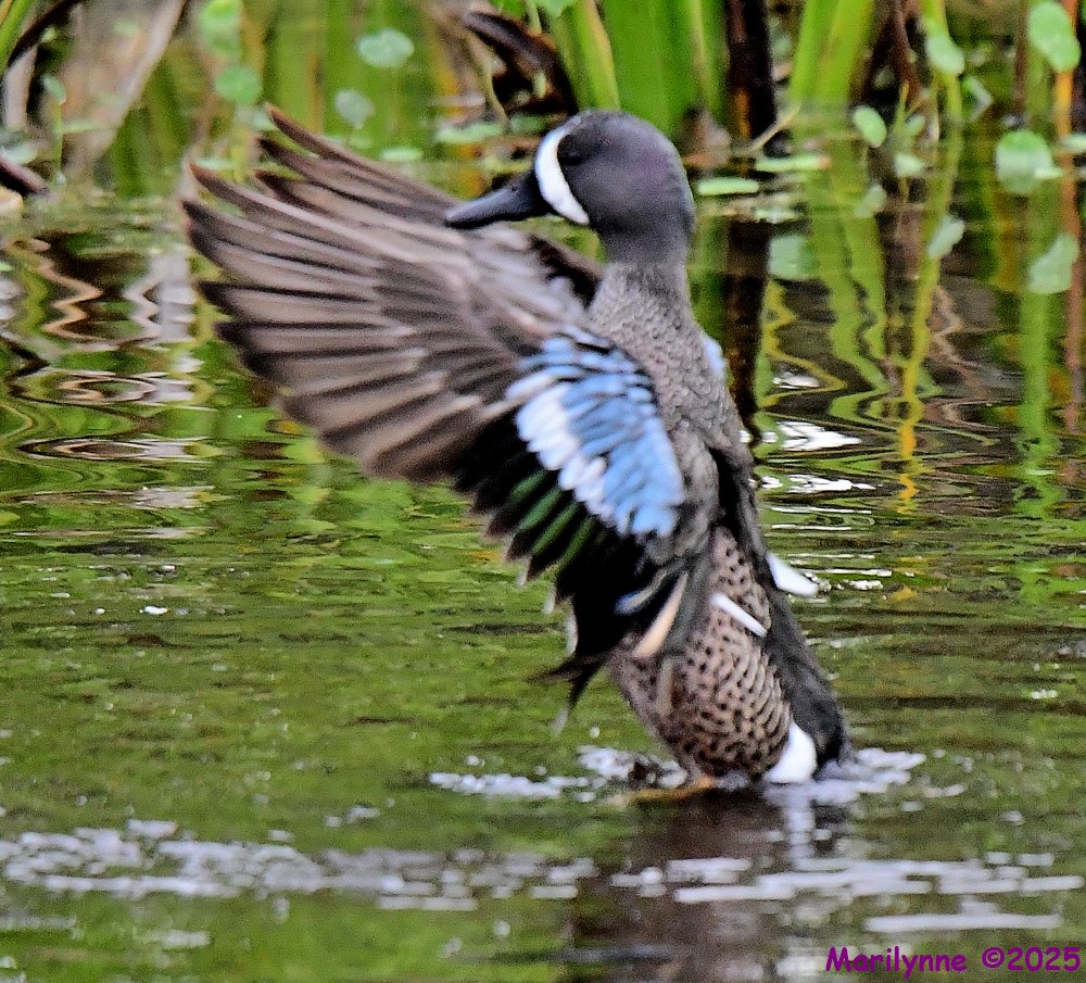 DSC_5721_001.JPG
