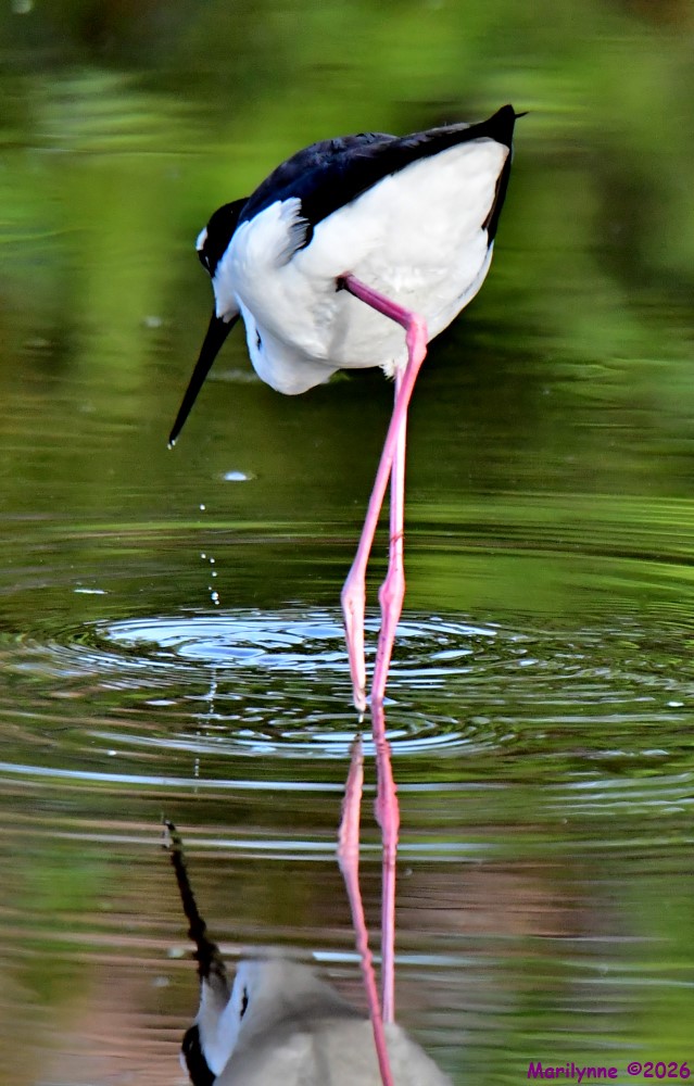 DSC_5722_001.JPG