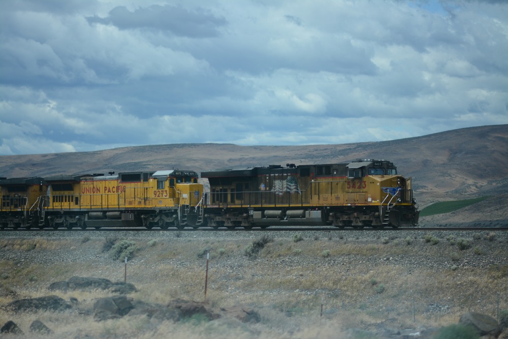 DSC_5723.JPG