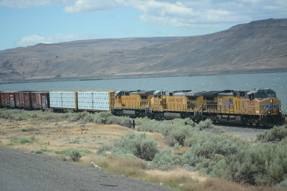 DSC_5727.JPG