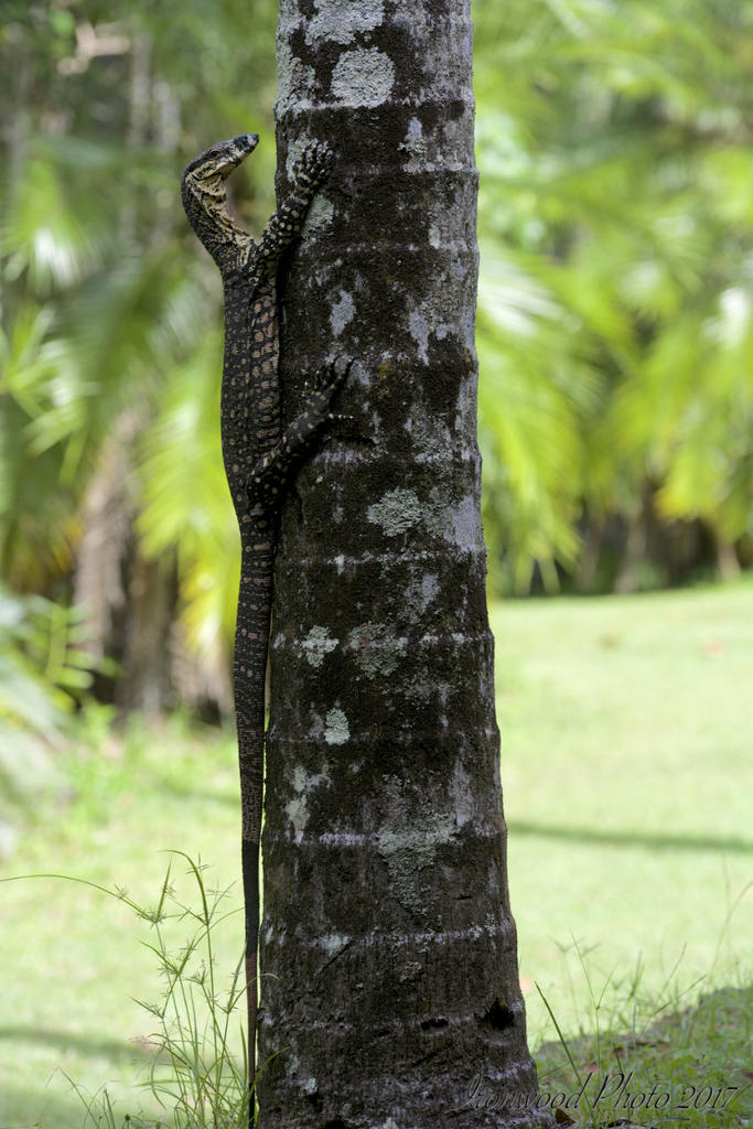 DSC_5728.jpg