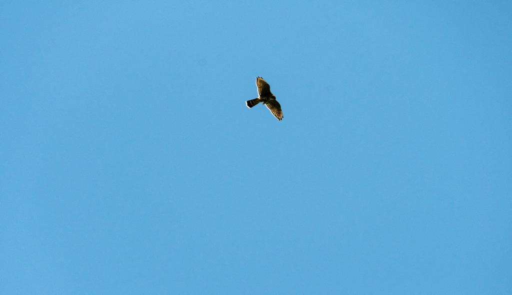 DSC_5728.jpg