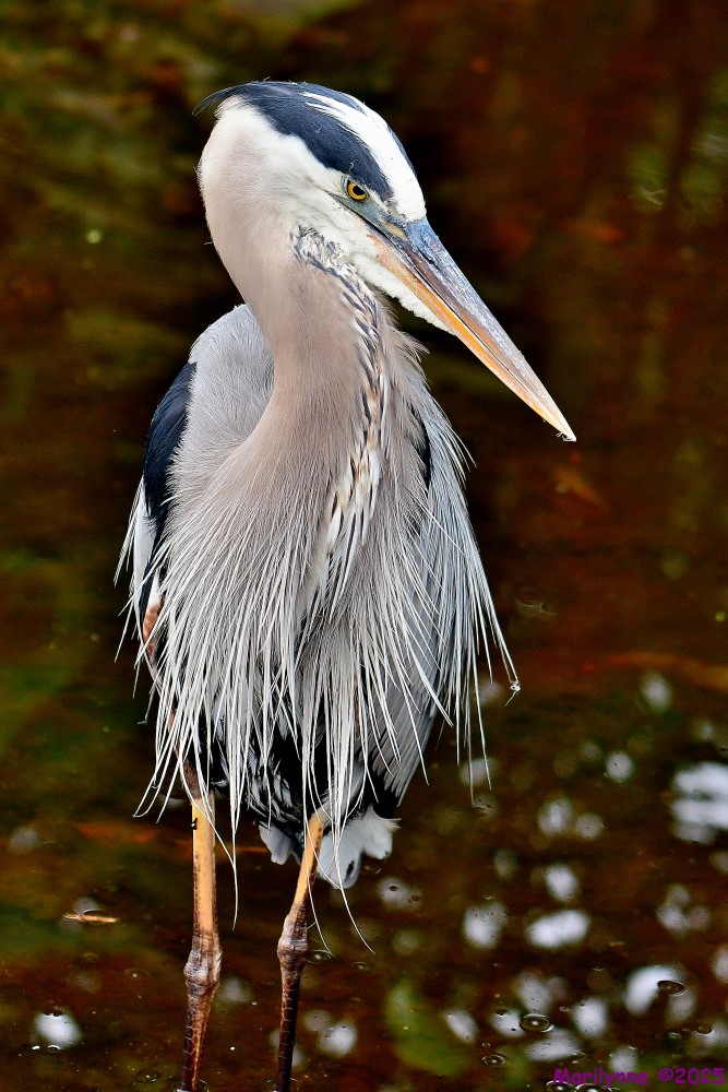 DSC_5730_001.JPG