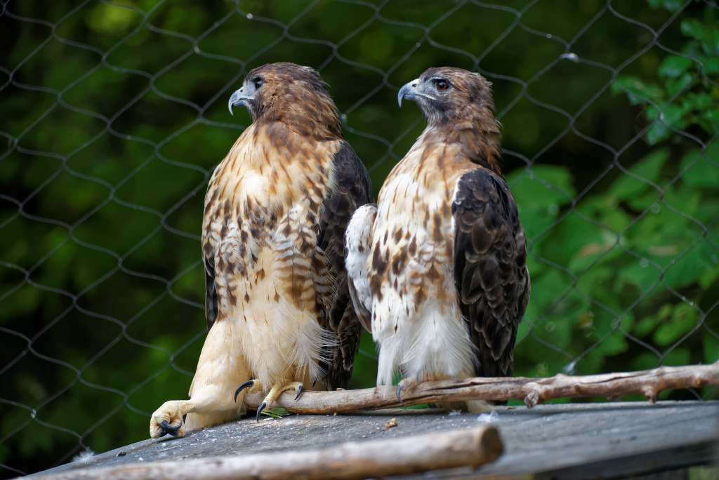 DSC_5741_DxO.jpg