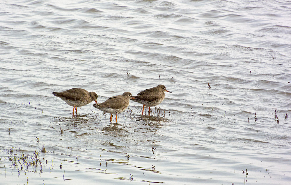 DSC_5743.jpg