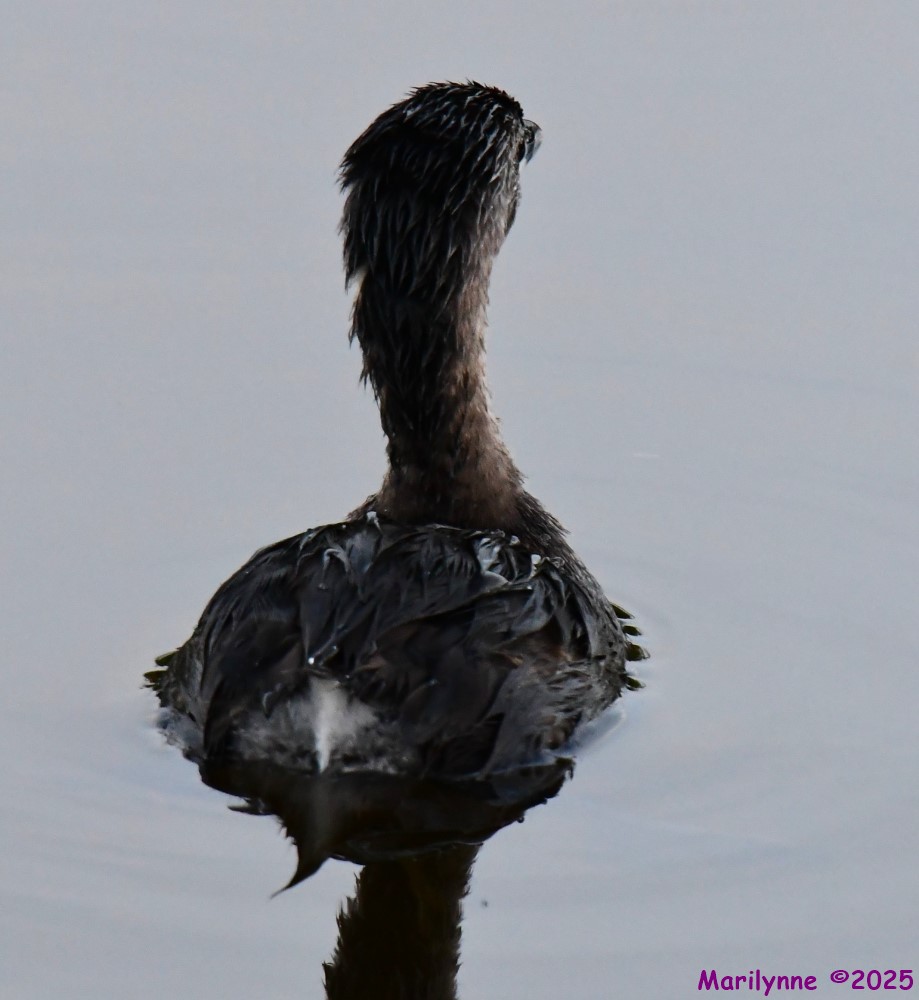 DSC_5744_001.JPG