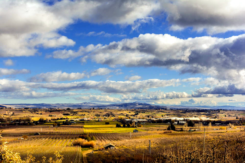 DSC_5746.jpg
