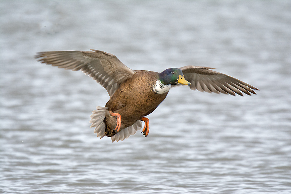 DSC_5752.jpg