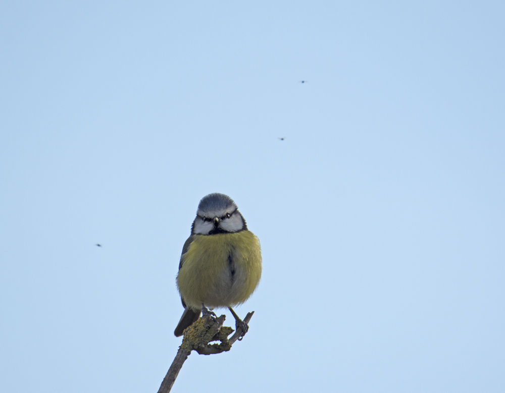 DSC_5753.jpg