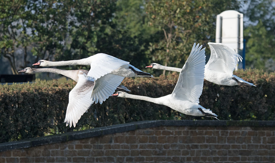 DSC_5756.jpg