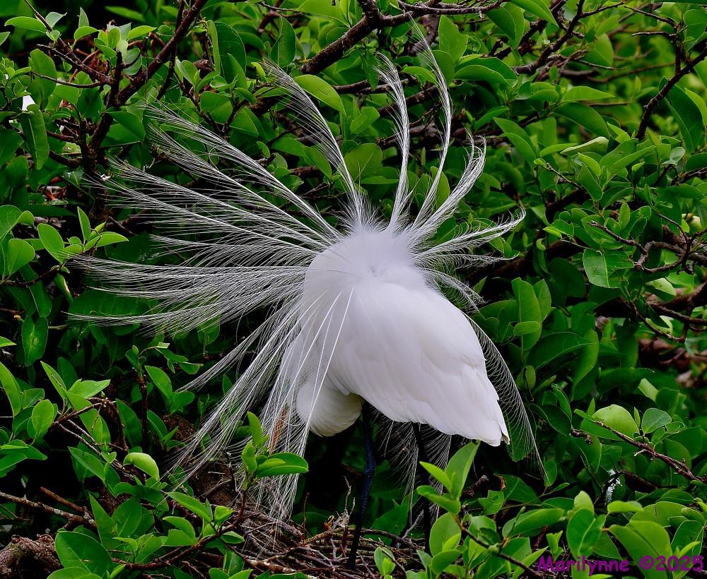 DSC_5757_001.JPG