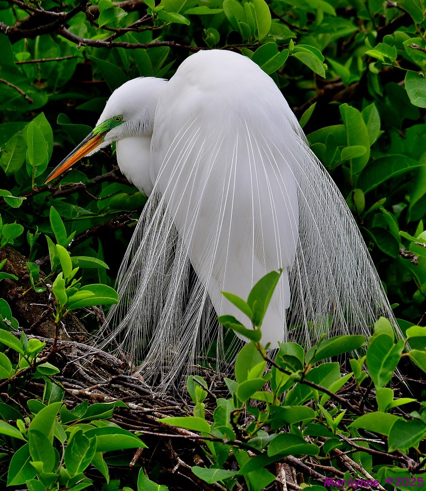 DSC_5758_001.JPG