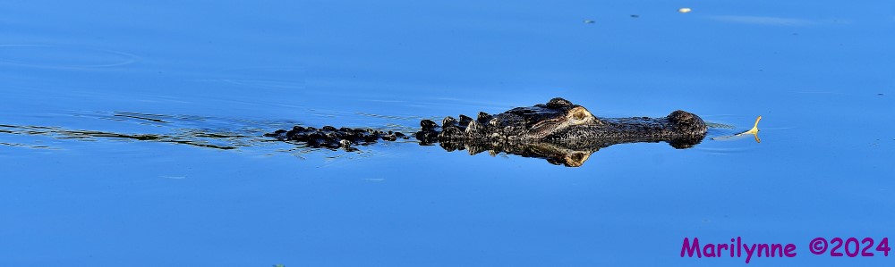 DSC_5760_stitch3_001.JPG