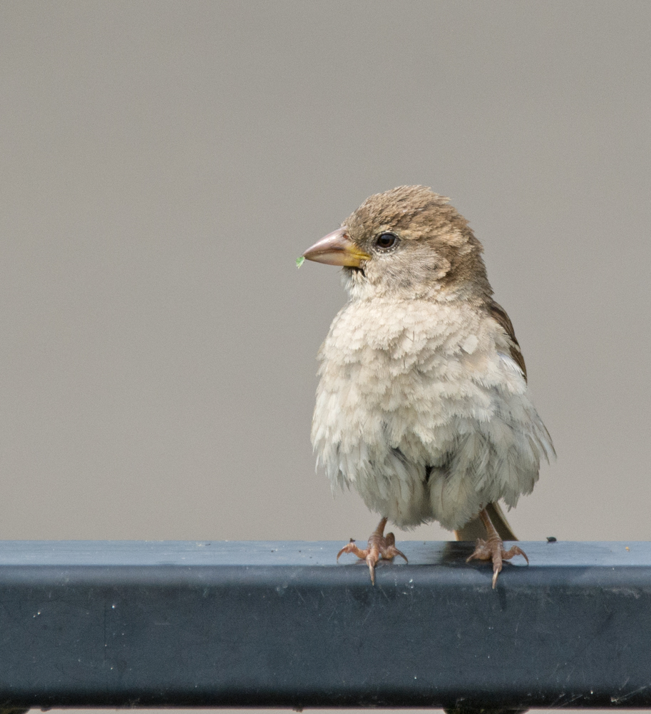DSC_5762.jpg