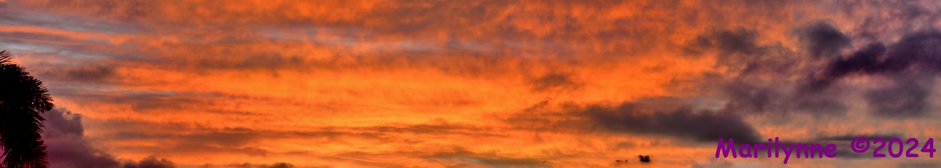 DSC_5764_stitch9_001.JPG