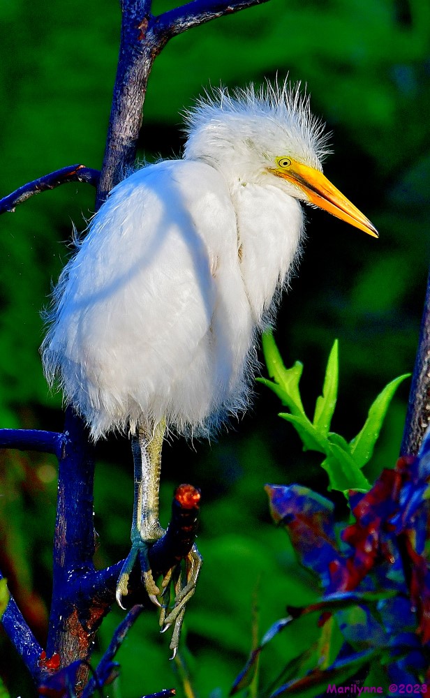 DSC_5765_001.JPG