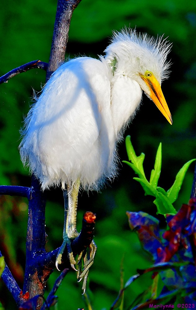 DSC_5766_001.JPG