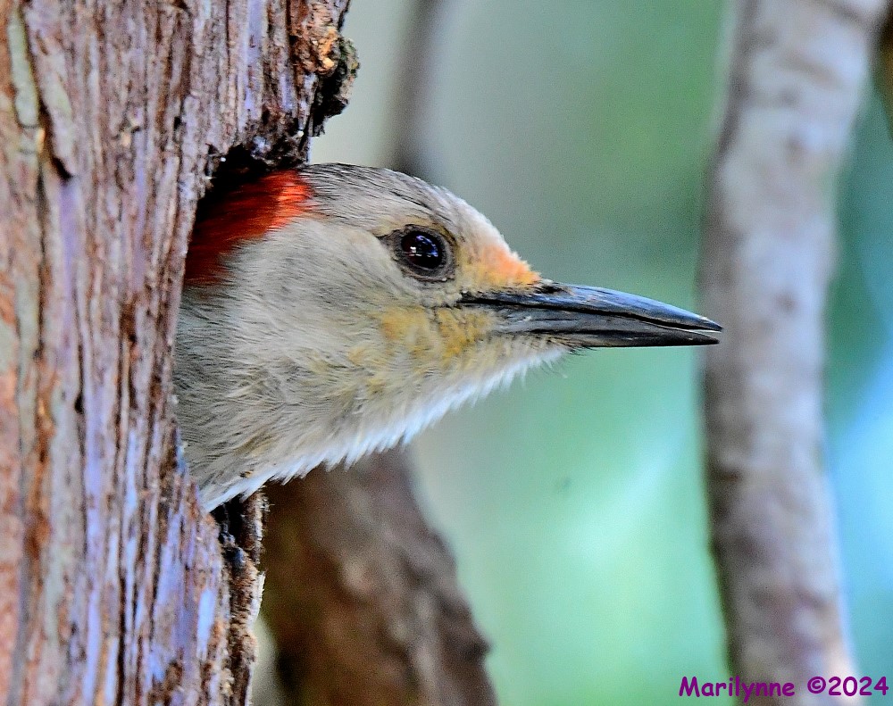 DSC_5766_001.JPG