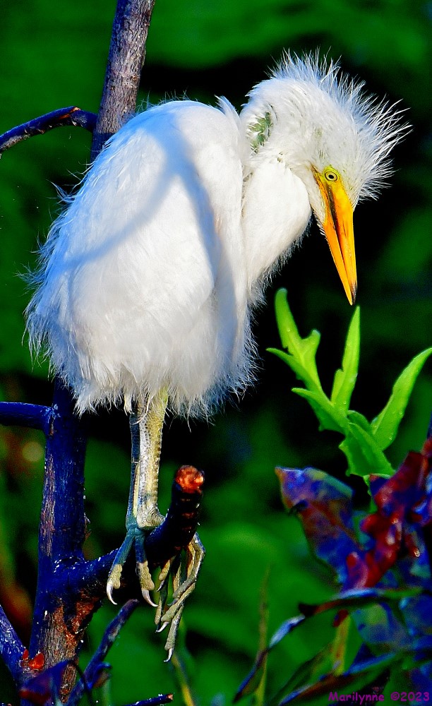 DSC_5768_001.JPG