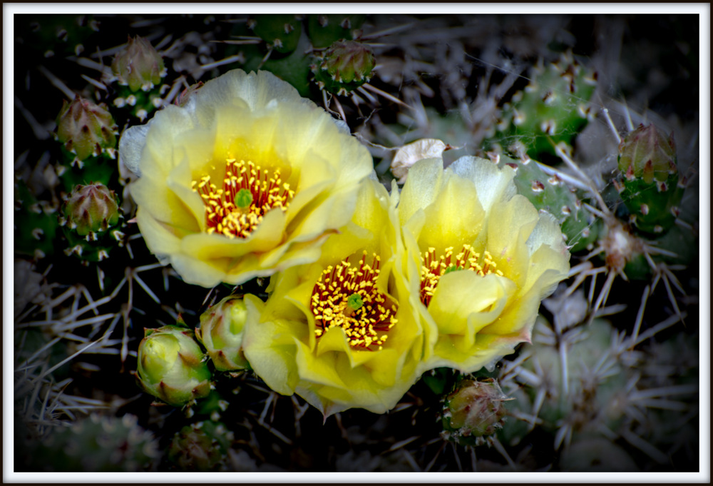 DSC_5770.jpg