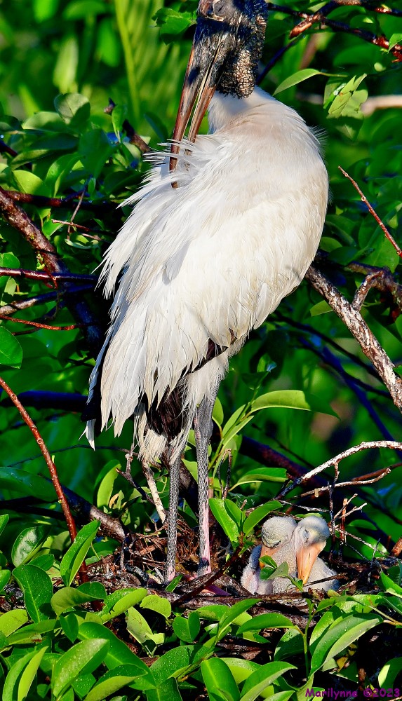 DSC_5770_001.JPG