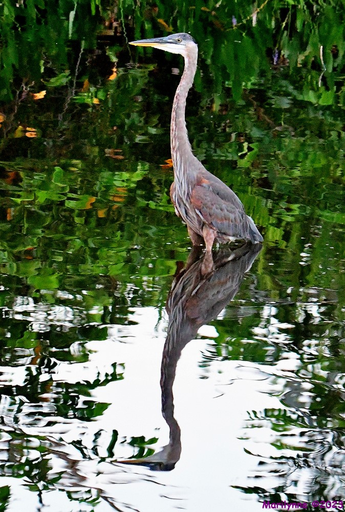DSC_5770_001.JPG