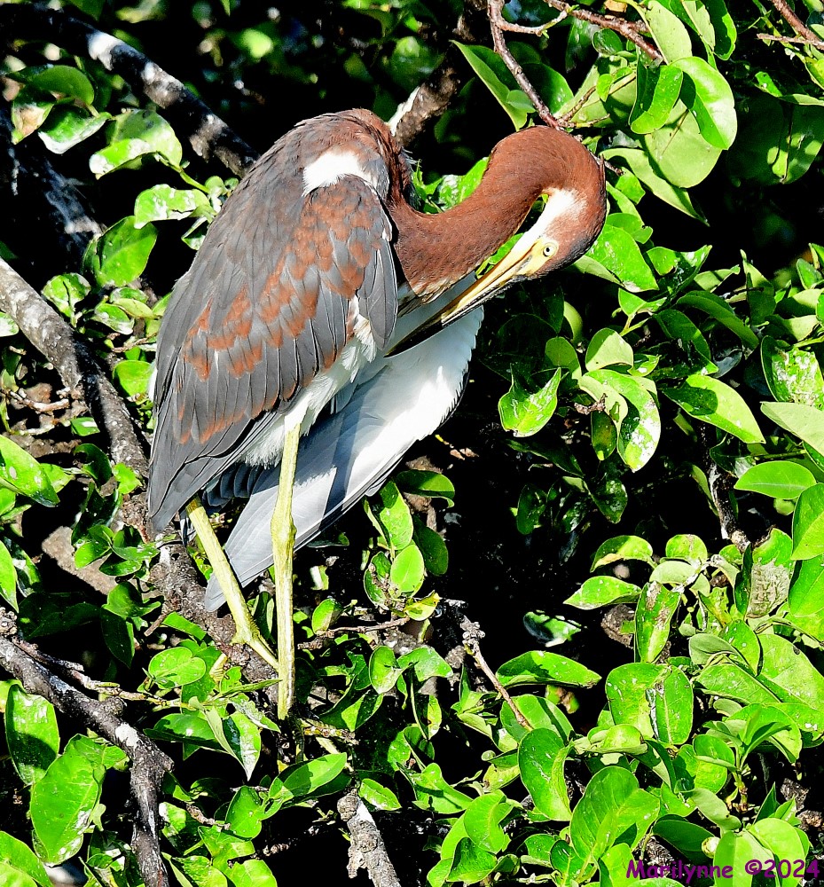 DSC_5770_001.JPG