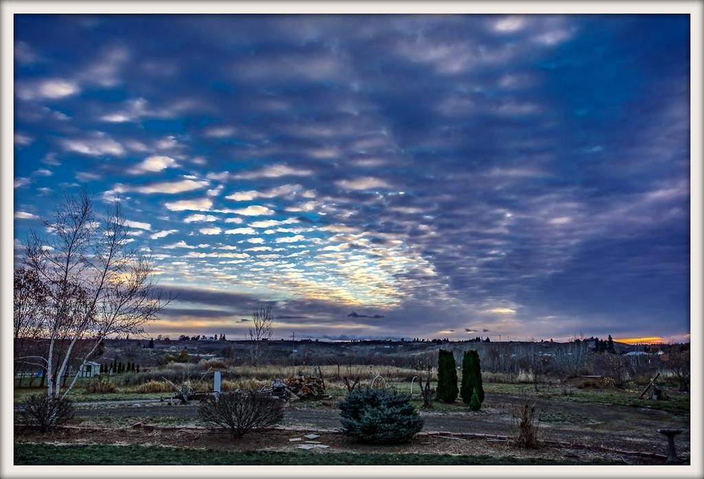 DSC_5772-Edit.jpg