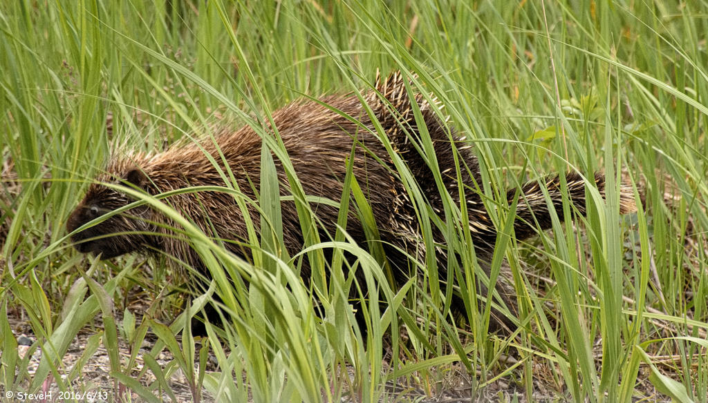 DSC_5773.jpg