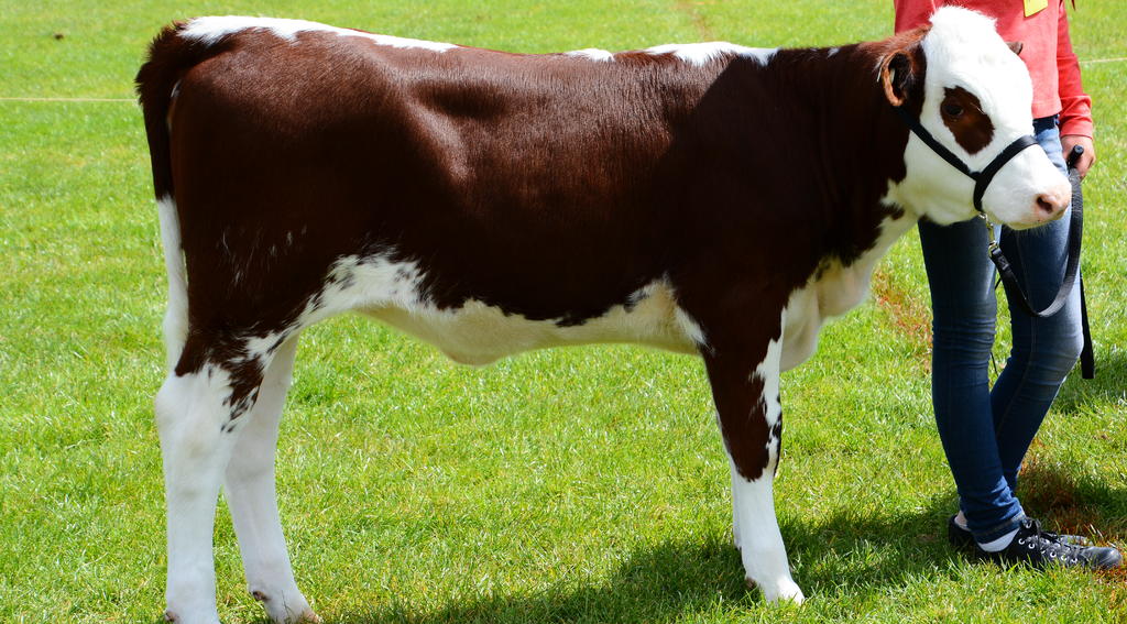 DSC_5777.jpg