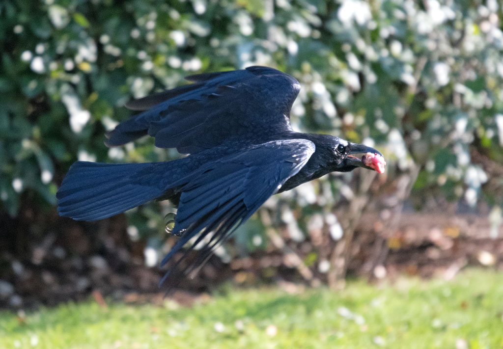 DSC_5778.jpg