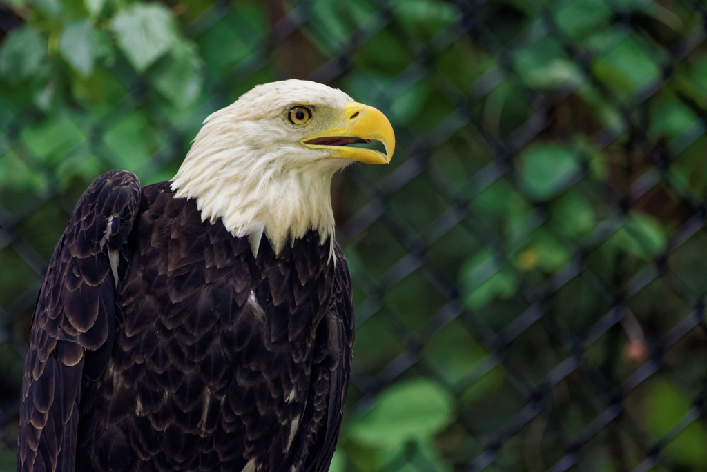 DSC_5778_DxO.jpg