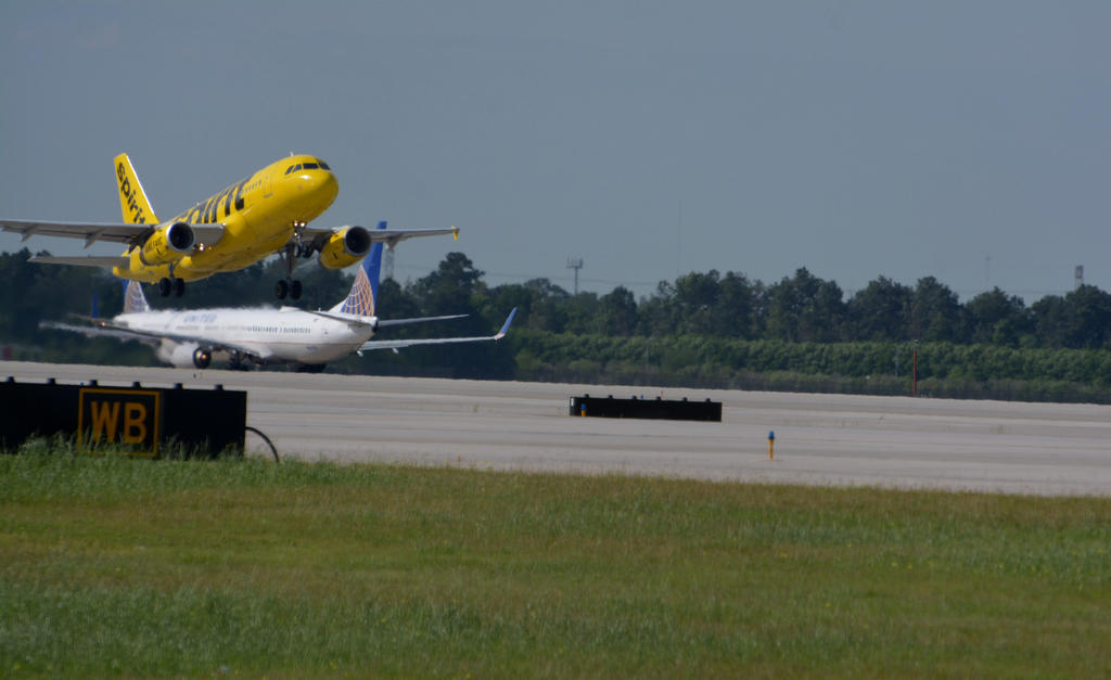 DSC_5779.jpg