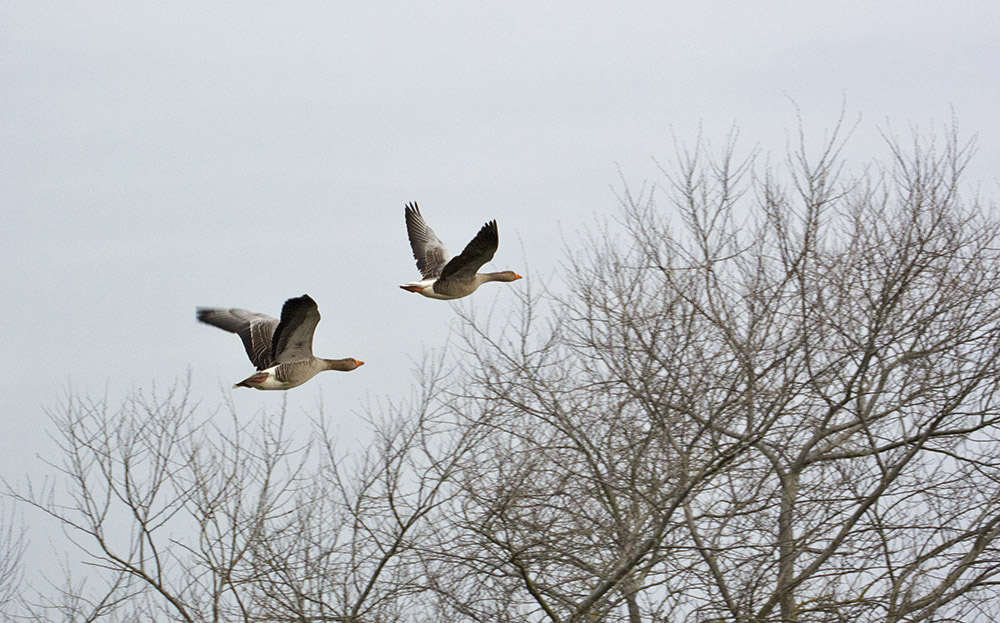 DSC_5779.jpg