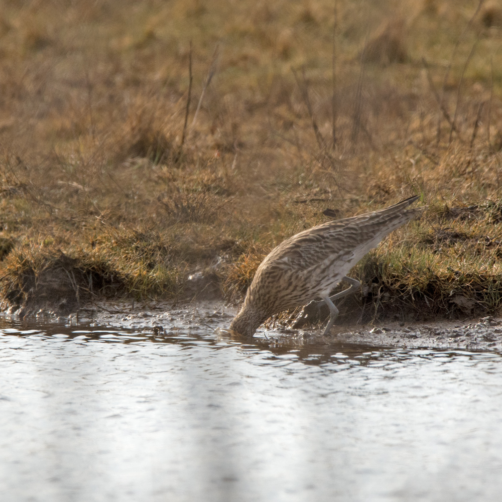 DSC_5783.jpg