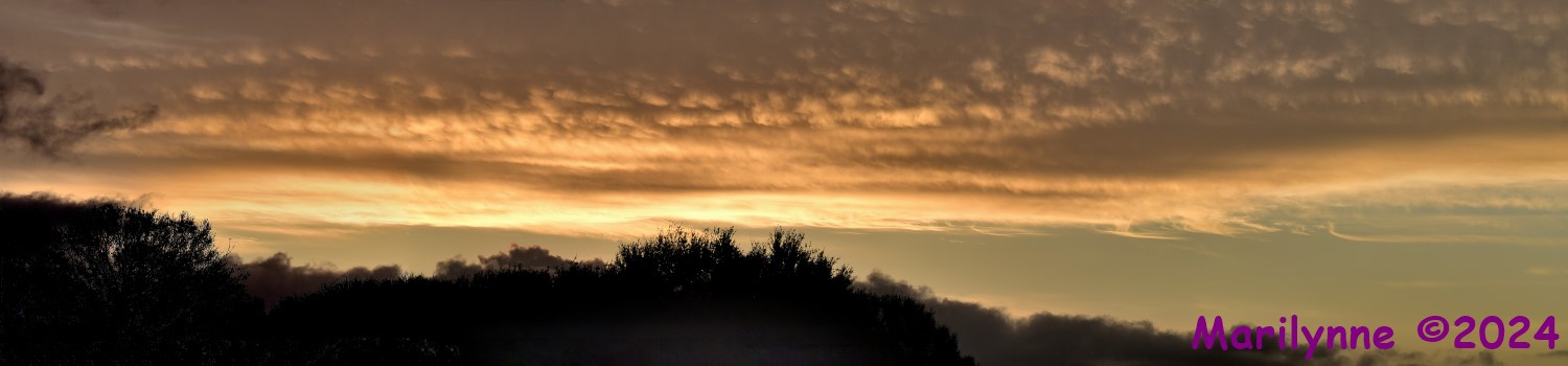 DSC_5783_stitch9_001.JPG
