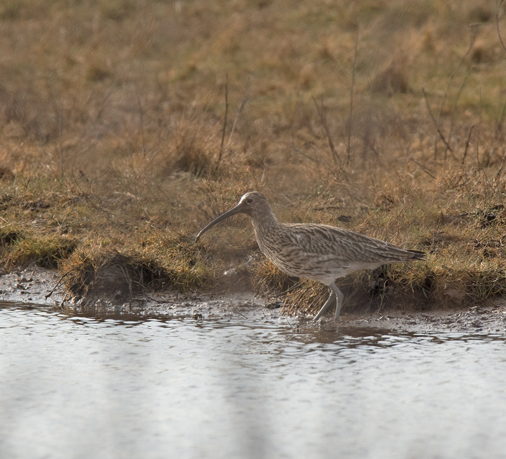 DSC_5784.jpg