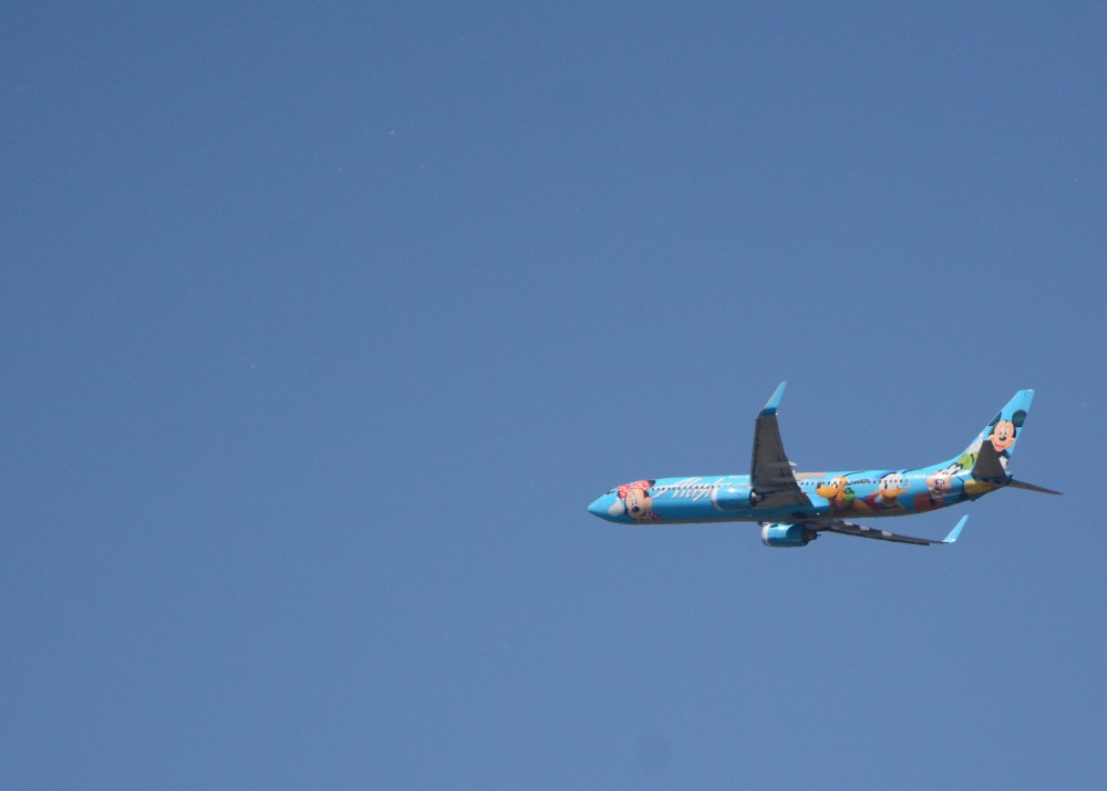 DSC_5787.JPG