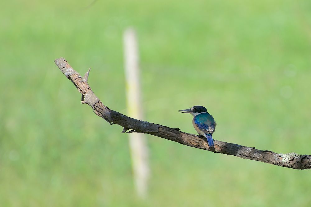 DSC_5788.jpg