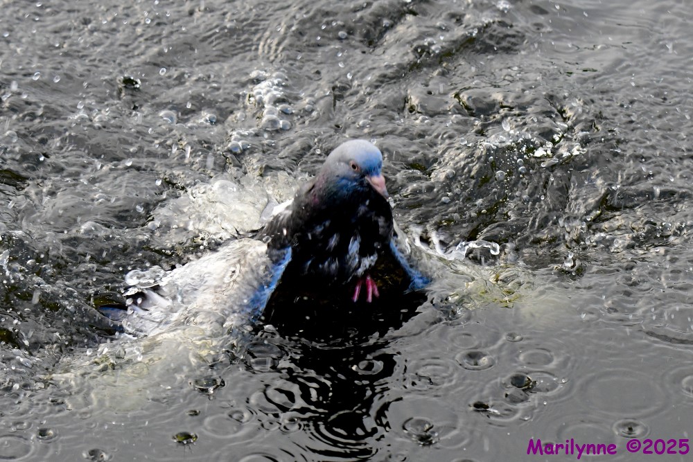DSC_5788_001.JPG
