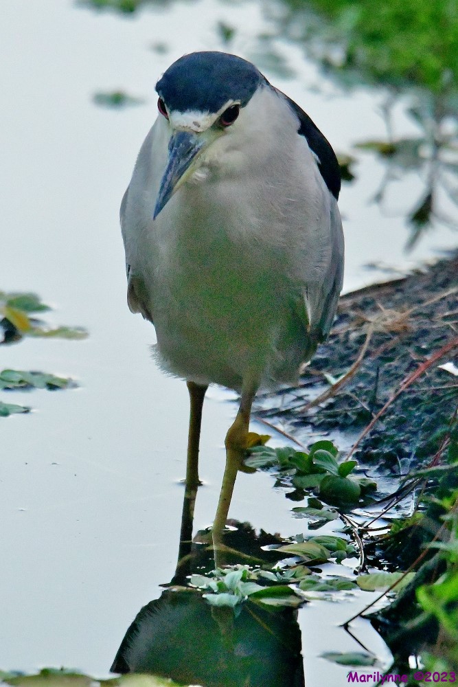 DSC_5792_001.JPG