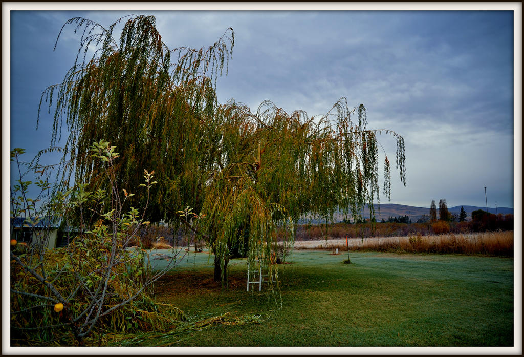 DSC_5796.jpg