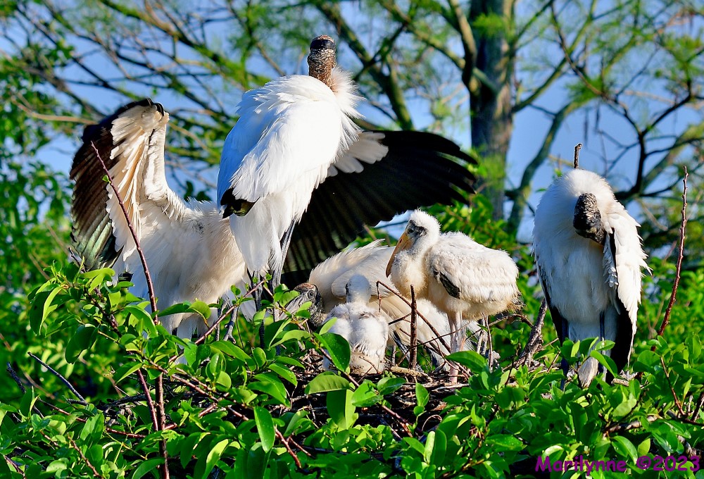DSC_5798_001.JPG