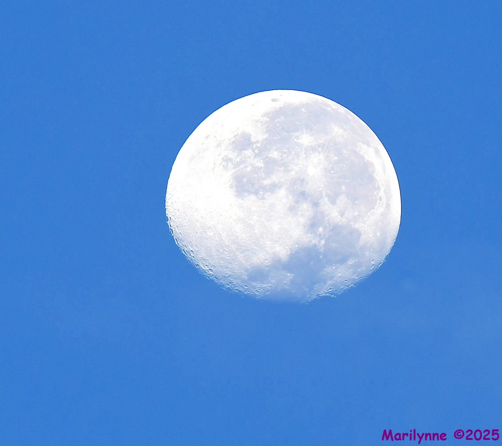 DSC_5801_001.JPG