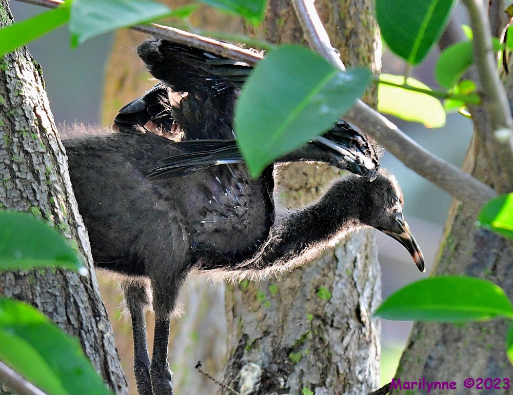 DSC_5802_001.JPG