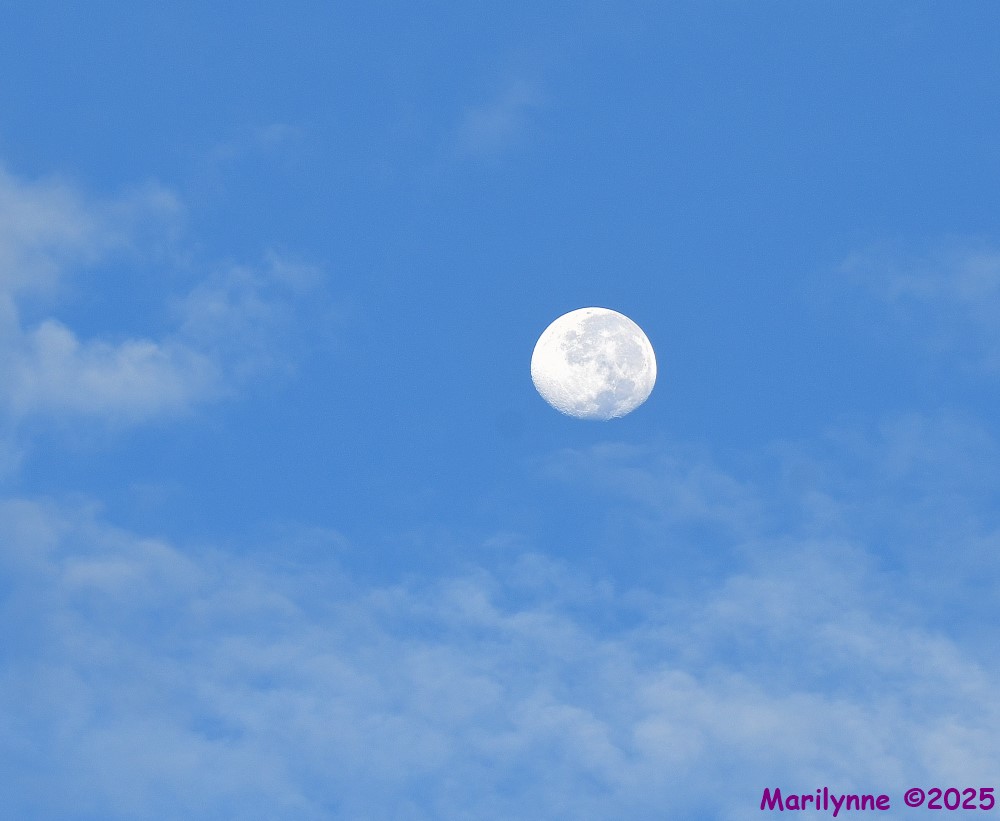 DSC_5803_001.JPG