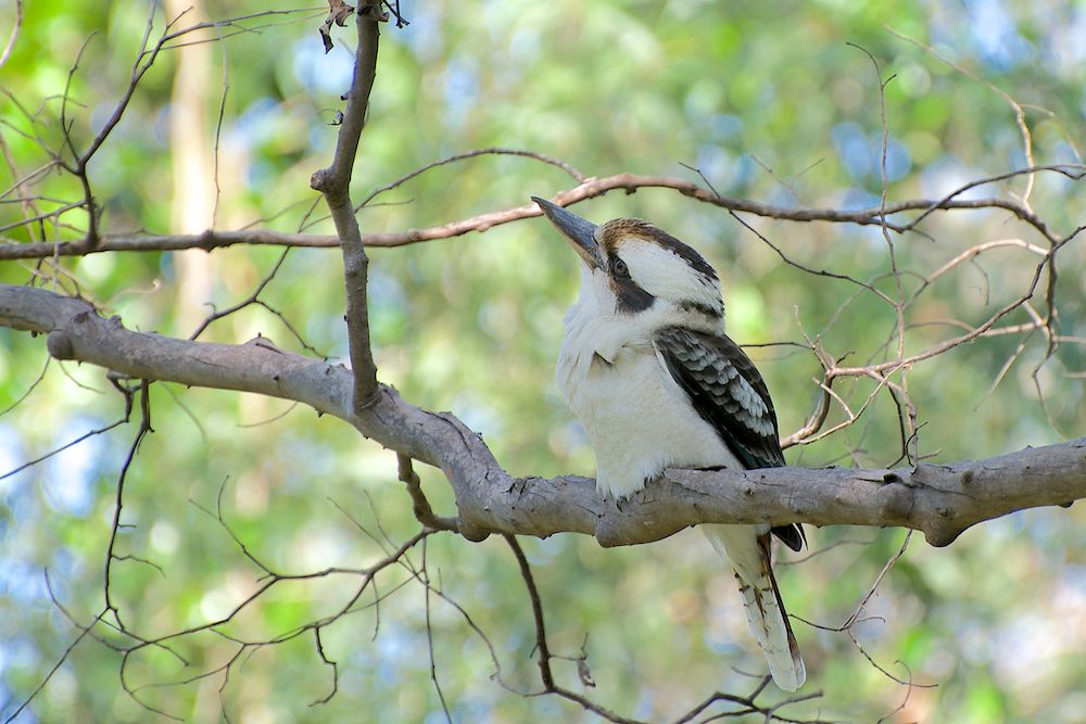 DSC_5804.jpg