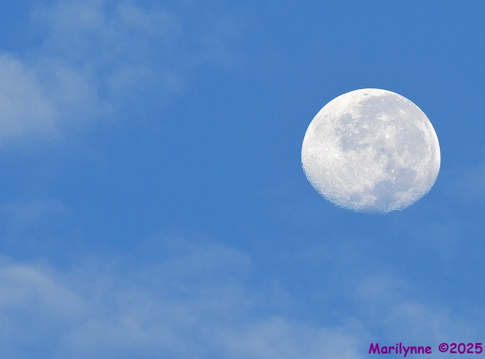 DSC_5805_001.JPG